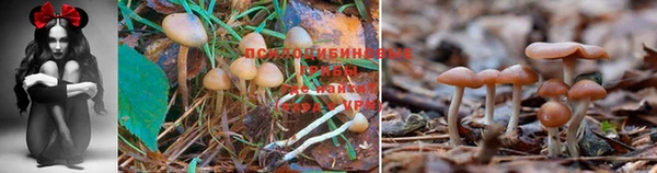 марки nbome Абинск