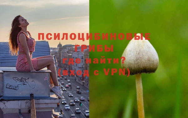 соль курить ск Абаза
